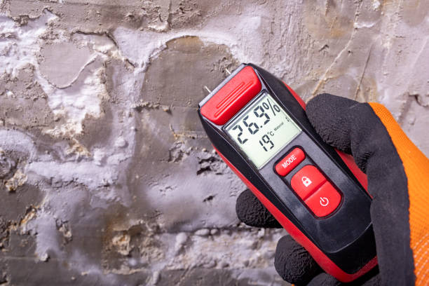 Best Home Mold Removal  in Richlands, NC
