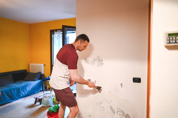 Best Black Mold Removal  in Richlands, NC