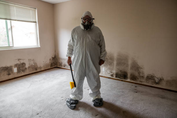 Best Mold Testing  in Richlands, NC