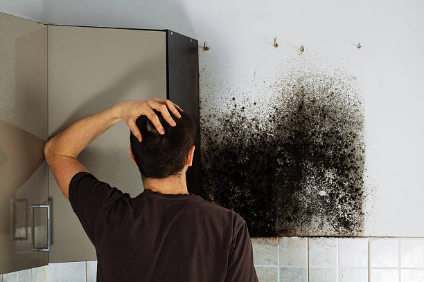 Best Mold Removal Process  in Richlands, NC